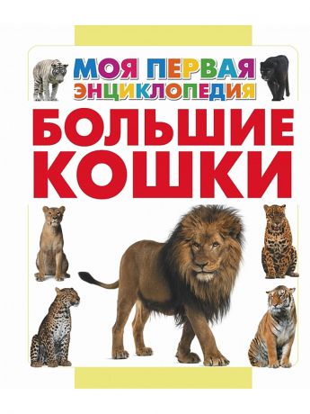 Книги Издательство АСТ Большие кошки