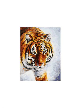 Наборы для рисования Белоснежка Живопись на холсте. Размер 30х40 см. Тигр на снегу