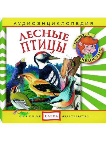 Аудиокниги Детское издательство Елена Лесные птицы