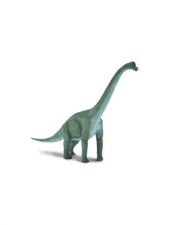 Фигурки-игрушки Collecta Брахиозавр, L 23 см