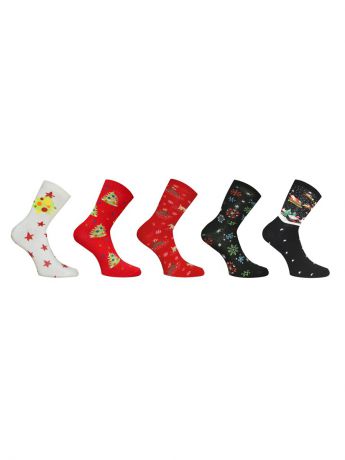 Носки Master Socks Носки, 5 пар