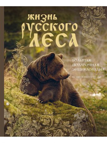 Книги Эксмо Жизнь русского леса. Большая подарочная энциклопедия (медведь)