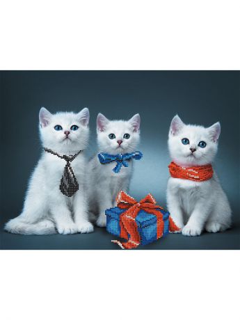 Наборы для вышивания Матренин Посад Набор для вышивания бисером "Нарядные котята"