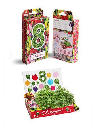 Наборы для выращивания растений Happy Plants Подарочный набор "8 Марта №1 Тюльпаны"