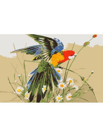 Наборы для рисования Цветной Раскраски по номерам Попугай в полевых цветах