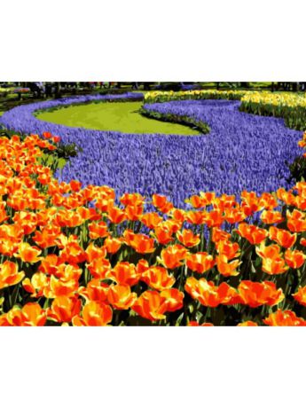 Наборы для рисования Цветной Раскраски по номерам Клумба с тюльпанами и ирисами