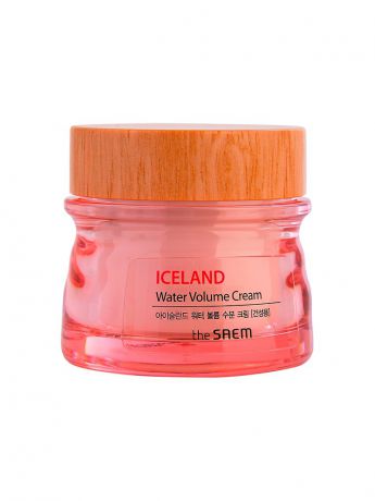 Кремы the SAEM Iceland Hydrating Крем минеральный Iceland Water Volume Hydrating Cream(For Dry Skin)