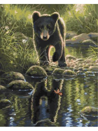 Наборы для рисования Цветной Раскраски по номерам Медвежонок