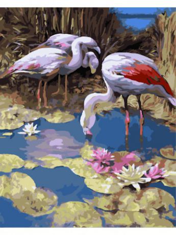 Наборы для рисования Цветной Раскраски по номерам Фламинго