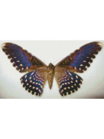 Наборы для поделок Цветной Алмазная мозаика Бабочка Совка агриппина