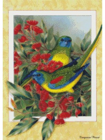 Наборы для поделок Цветной Алмазная мозаика Райские птицы