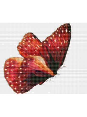 Наборы для поделок Цветной Алмазная мозаика Бабочка Красный монарх