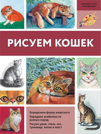 Книги Издательство АСТ Рисуем кошек