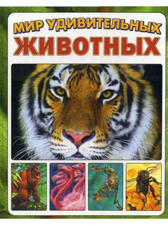 Книги Рипол-Классик Мир удивительных животных