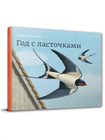 Книги Редкая птица Год с ласточками