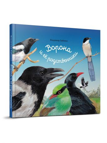 Книги Редкая птица Ворона и ее родственники