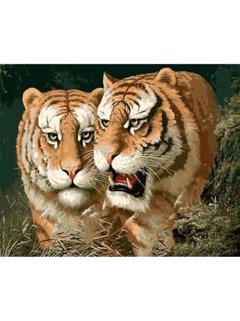 Наборы для рисования Цветной Картины по номерам Любовь тигра