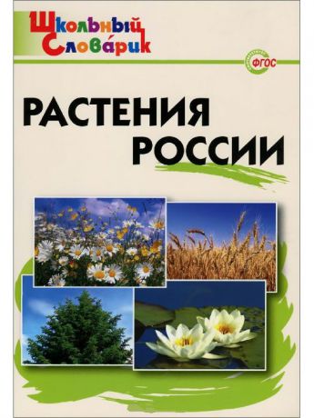 Книги ВАКО Комплект Школьный словарь №12