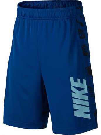 Шорты Nike Шорты B NK DRY SHORT GFX LEGACY