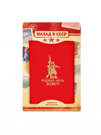 Обложки Bizon Обложка для паспорта