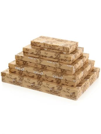 Подарочные коробки VELD-CO Коробка картонная, набор из 5 шт. 20*10*3-40*30*5 см.  Гимн весне