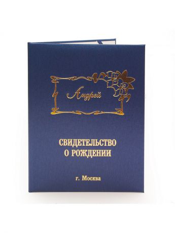 Обложки Dream Service Именная обложка для свидетельства о рождении "Андрей" г.Москва
