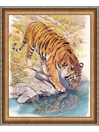 Наборы для поделок Алмазная живопись Картина стразами "Тигр у реки" (АЖ-1523)