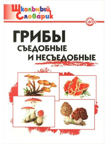 Книги ВАКО Комплект Школьный словарь №11