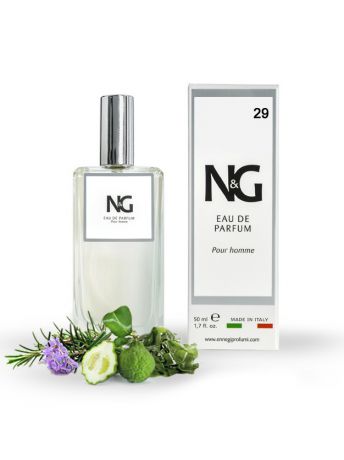 Парфюмерная вода N&G N&G 29 Allure Homme парфюмерная вода, 50 мл