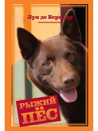 Книги Издательство Махаон Рыжий пёс