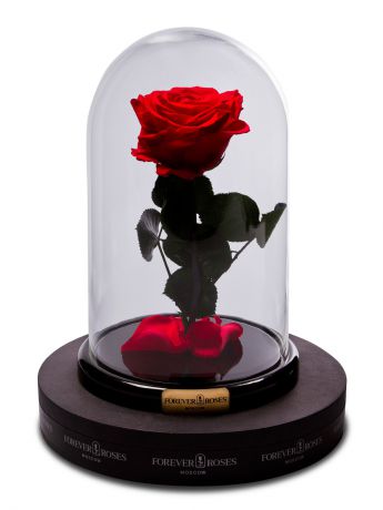 Цветы стабилизированные FOREVER ROSES MOSCOW Роза в колбе мини, прямой стебель, цвет красный
