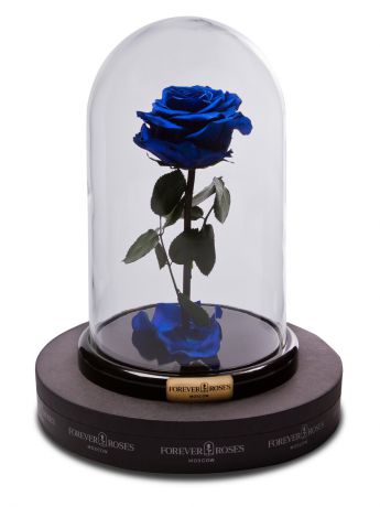 Цветы стабилизированные FOREVER ROSES MOSCOW Роза в колбе мини, прямой стебель, цвет синий