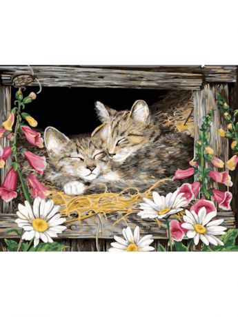 Наборы для рисования Цветной Картины по номерам Котята в гнезде