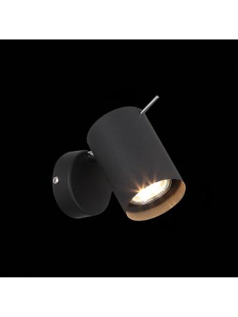 Люстры ST Luce Светильник уличный наземный ST-Luce Черный/Прозрачный LED 1*8W