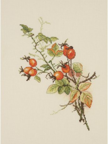 Наборы для вышивания Марья Искусница Набор для вышивания "Осенний шиповник", цветы
