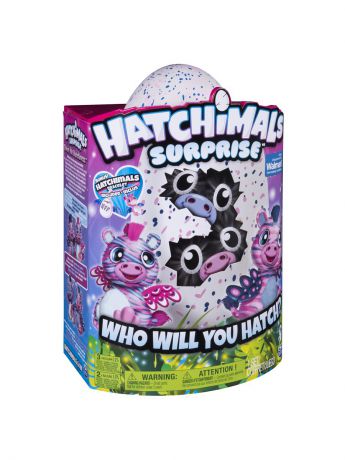 Игрушки интерактивные Hatchimals Игрушка Hatchimals сюрприз - близнецы интерактивные питомцы, вылупляющиеся из яйца
