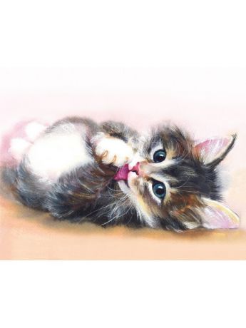 Наборы для поделок Цветной Алмазная мозаика Милый котенок