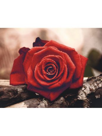 Наборы для поделок Цветной Алмазная мозаика Красная роза