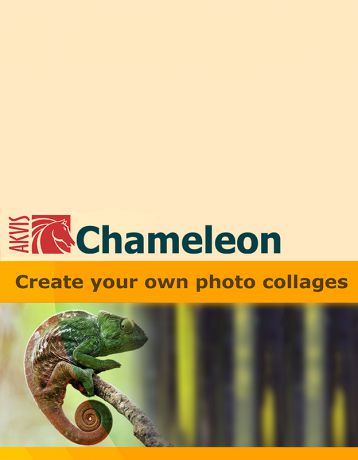 AKVIS Chameleon Home Deluxe (Цифровая версия)