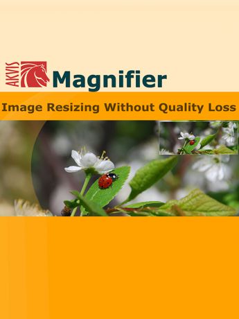 AKVIS Magnifier Business (Цифровая версия)