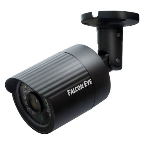 Камера видеонаблюдения Falcon Eye FE-IPC-BL100P