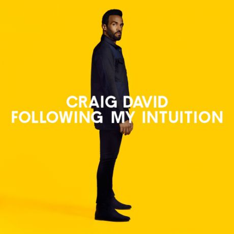 LP + CD Craig David Following My Intuition