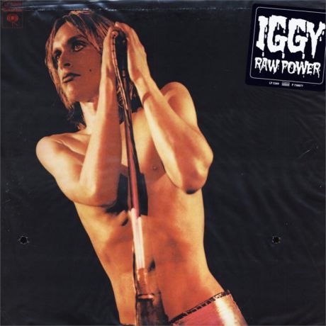 Виниловая пластинка Iggy Pop Raw Power