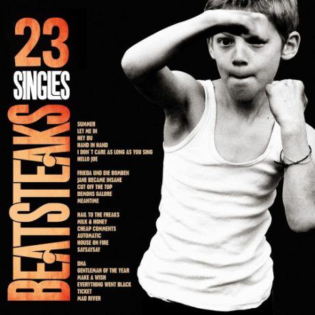 Виниловая пластинка Beatsteaks 23 Singles