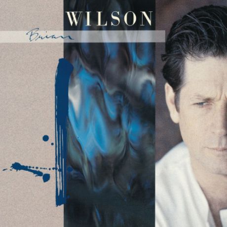 Виниловая пластинка Brian Wilson BRIAN WILSON (EXTENDED VERSION)