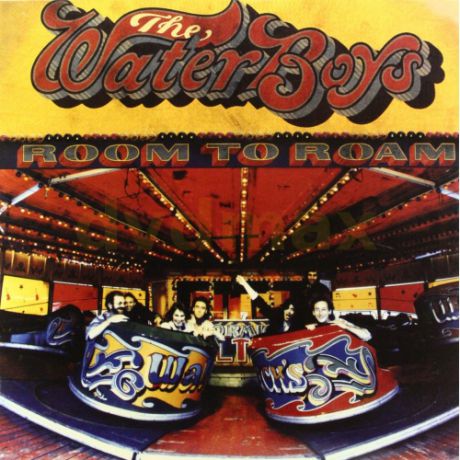 Виниловая пластинка The Waterboys The Waterboys - Room To Roam