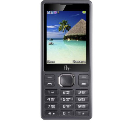 Мобильный телефон Fly FF282 Black