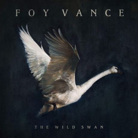 Виниловая пластинка Foy Vance Wild Swan
