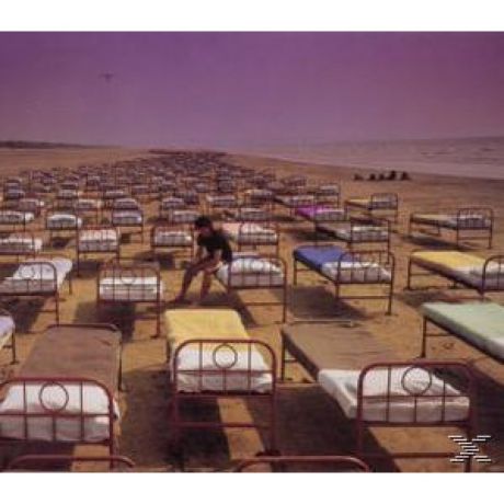 CD Pink Floyd A Momentary Lapse Of Reason