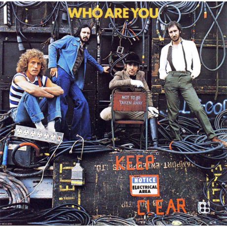 Виниловая пластинка The Who Who Are You